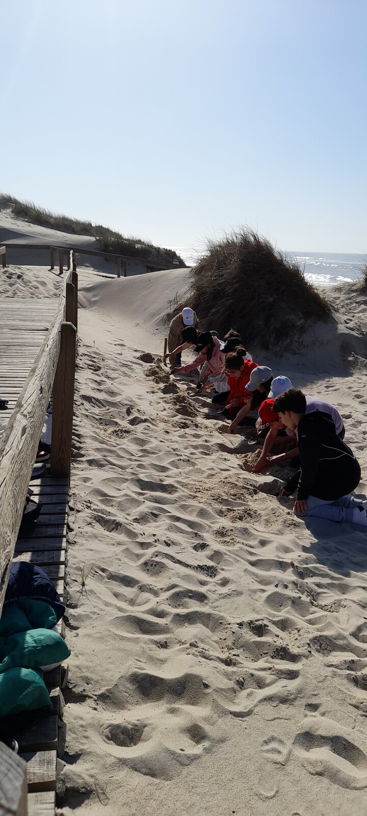 AS DUNAS PRECISAM DE NÓS